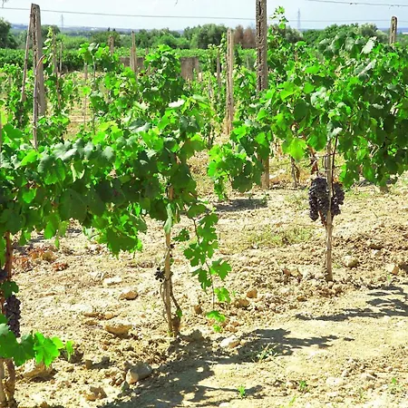 La Masseria - Maeva Vacansoleil 4*