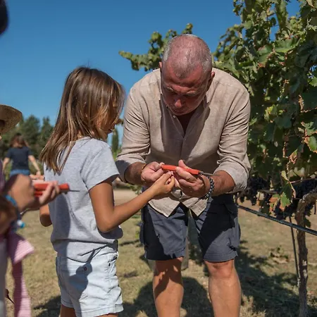 La Masseria - Maeva Vacansoleil