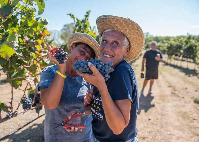 La Masseria - Maeva Vacansoleil Κάμπινγκ