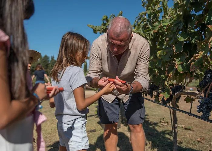 La Masseria - Maeva Vacansoleil