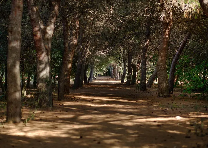 La Masseria - Maeva Vacansoleil 4* Gallipoli