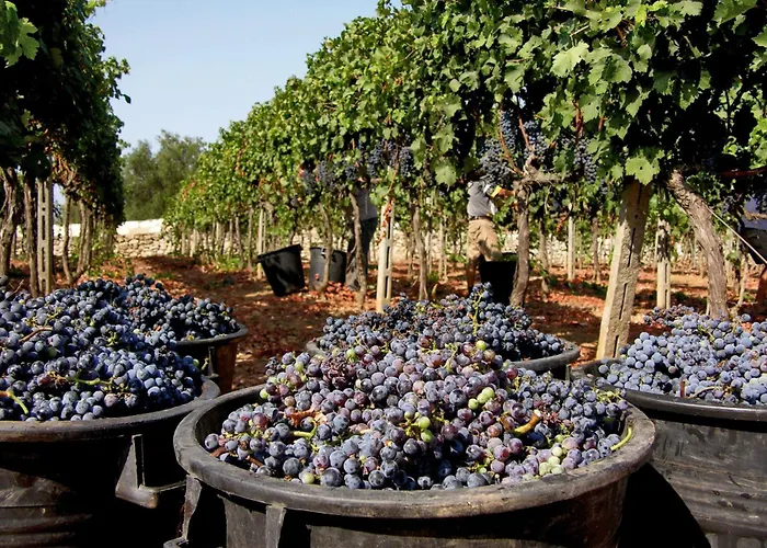 Κάμπινγκ La Masseria - Maeva Vacansoleil 4*