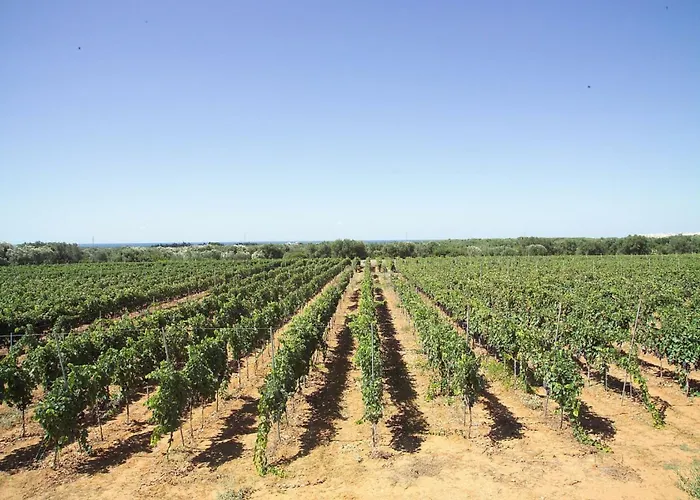 La Masseria - Maeva Vacansoleil 4* Gallipoli
