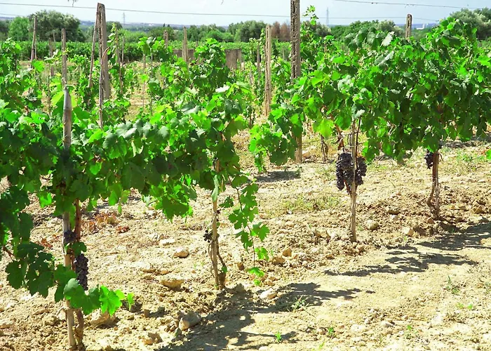 La Masseria - Maeva Vacansoleil 4*